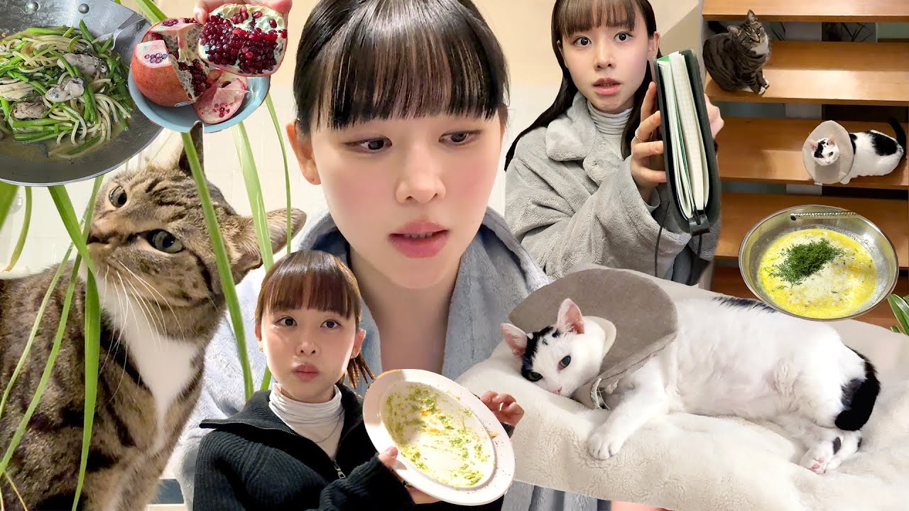 📓가계부 다 씀! 존맛 굴미나리파스타🦪 브로콜리페스토, 화장을 했어...? vlog