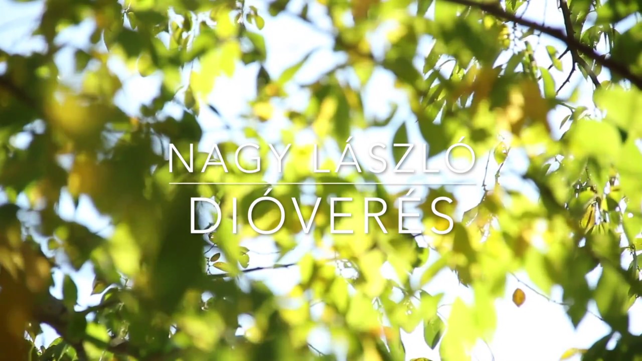Nagy László - Dióverés