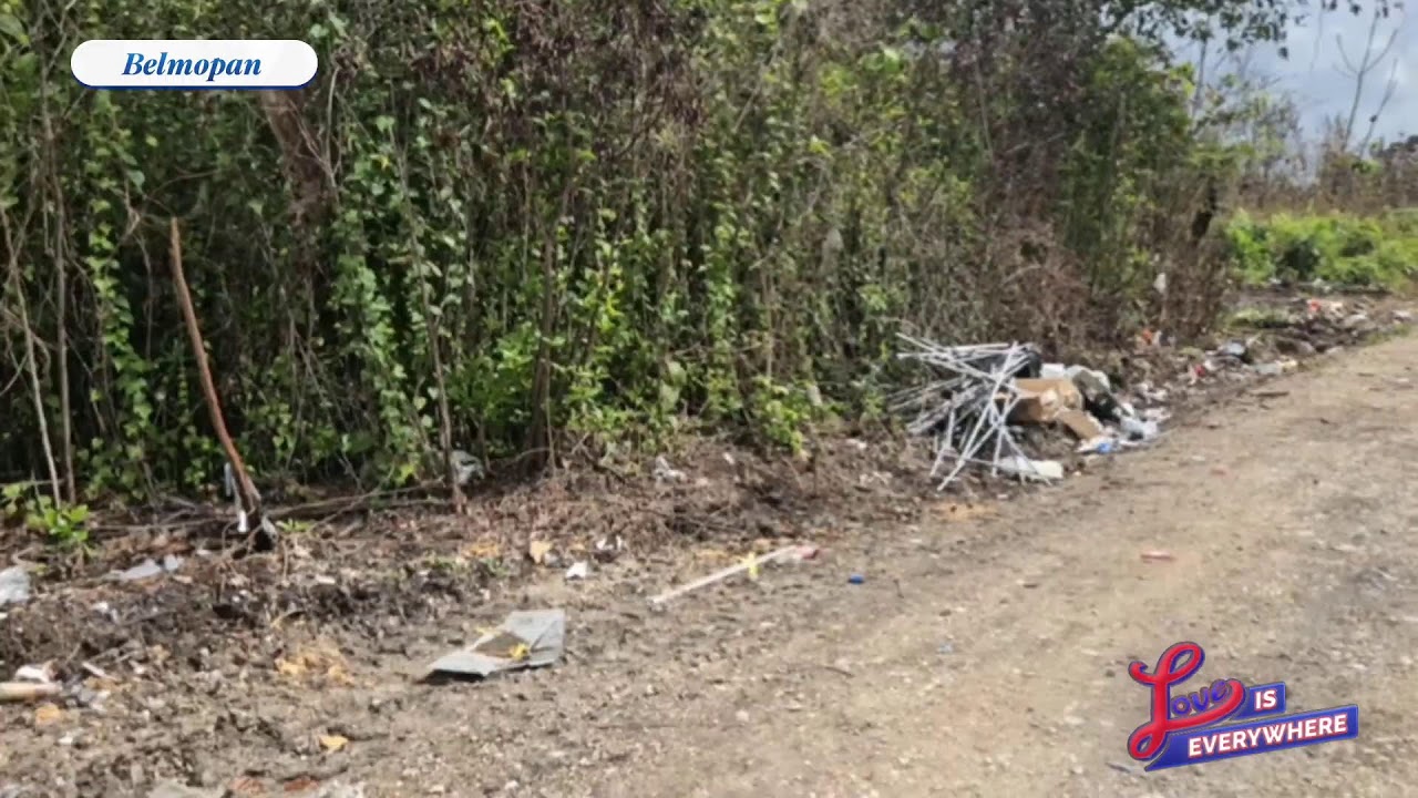 Незаконная утилизация отходов в Бельмопане | Любовь повсюду!