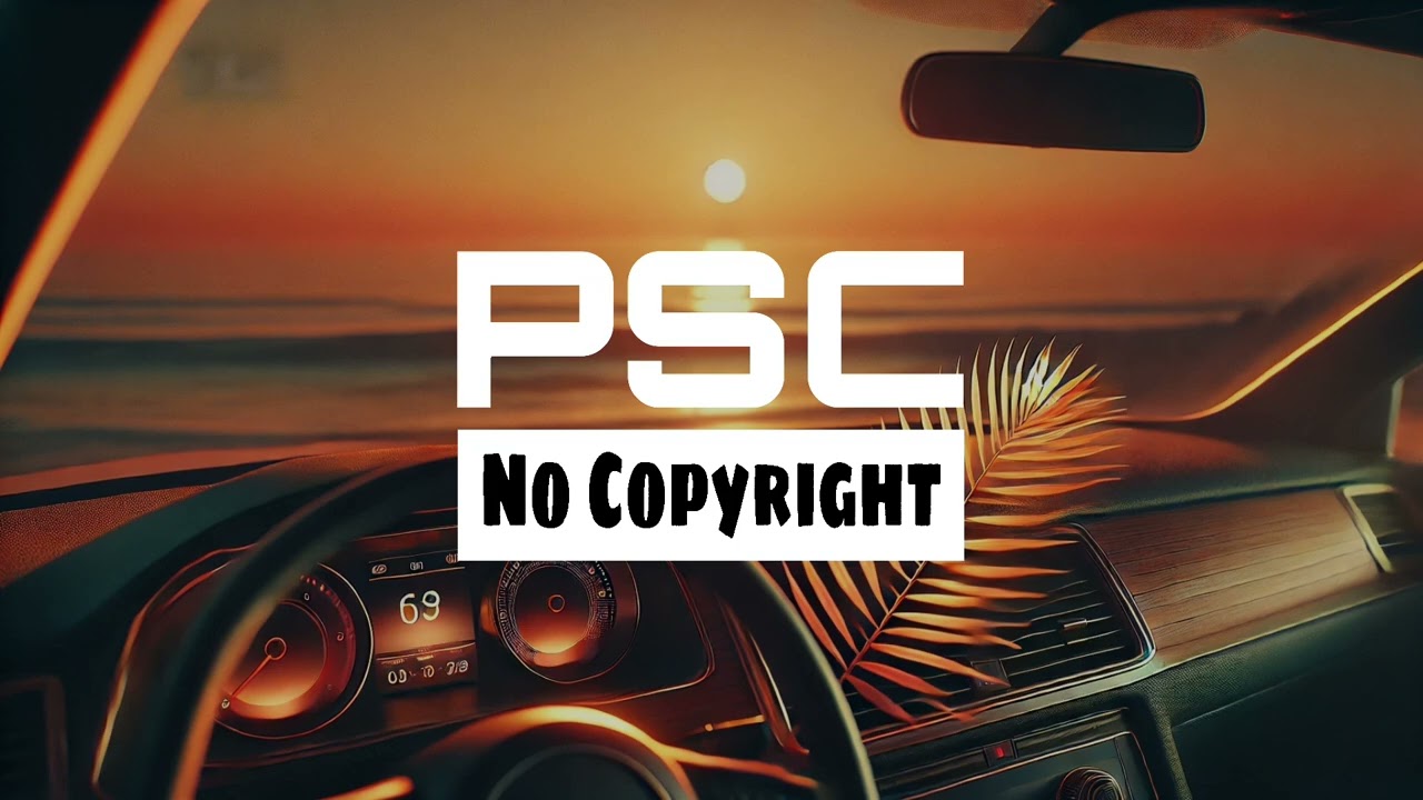 Amber - Airports Light | TropicalHouse | PSC - No Copyright Music