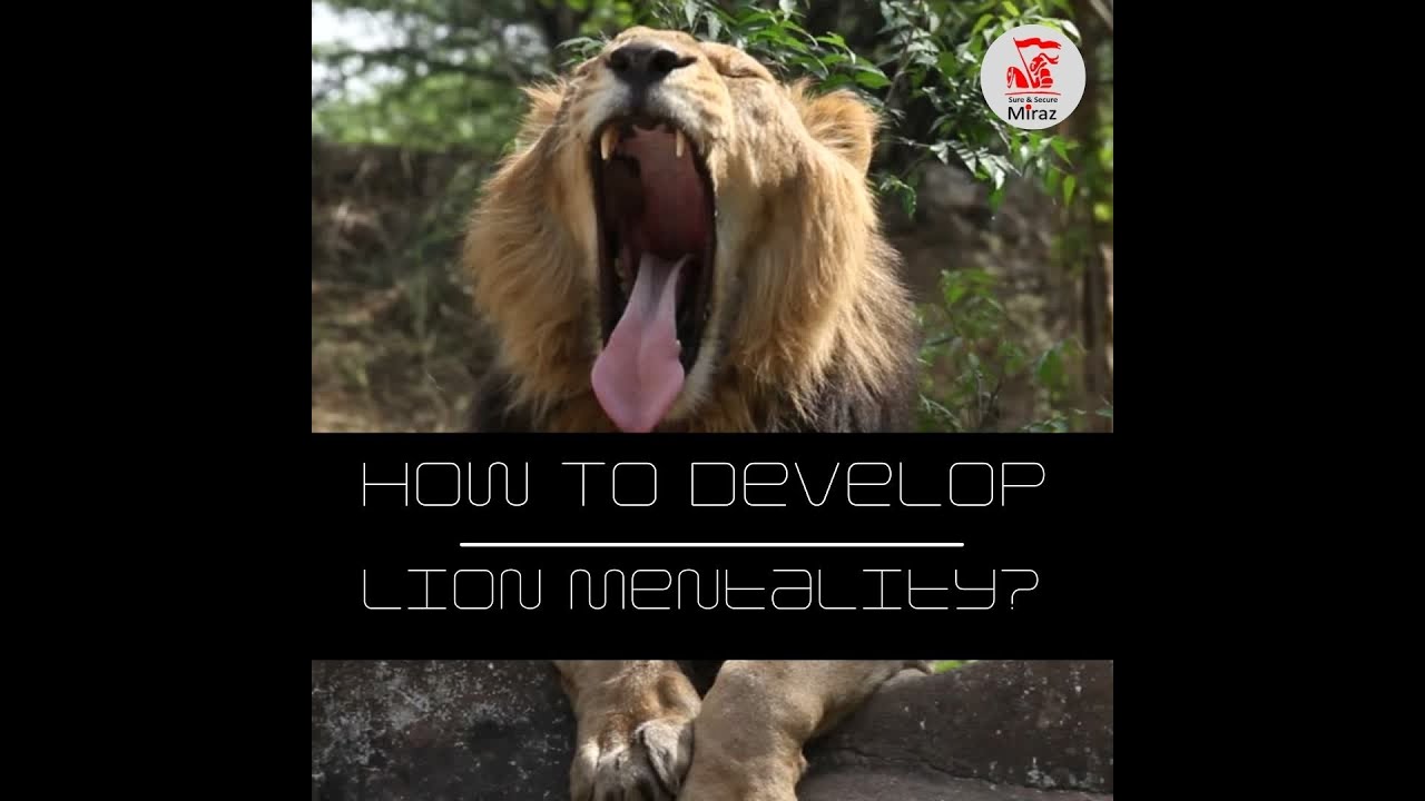 Delhi top Security Company Miraz Securitas shares how to build a strong lion mentality