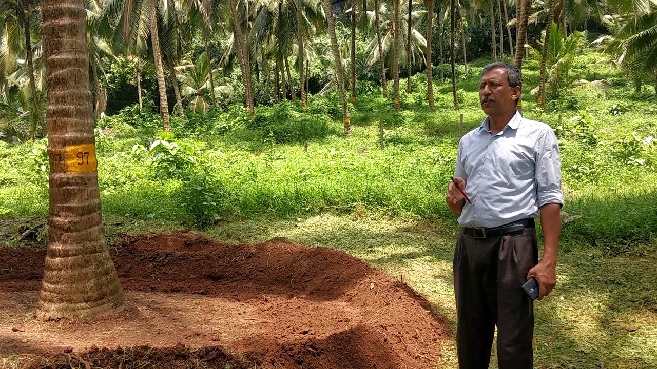 Coconut Development Board DSP Farm Neriamangalam Vid - intro