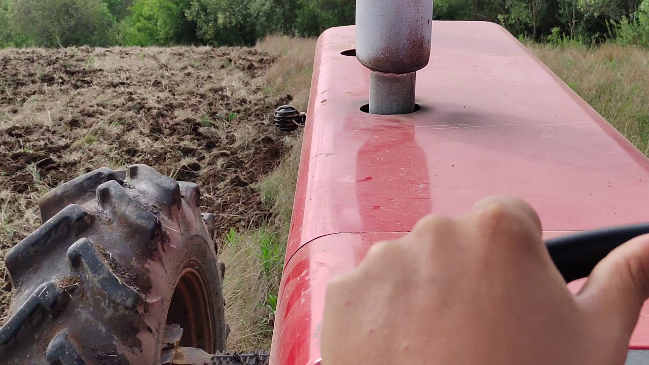 Massey Ferguson 295 com niveladora tatu 40 discos!!!!