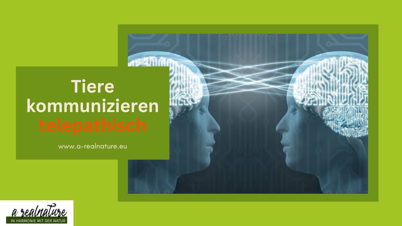 Tiere kommunizieren telepathisch