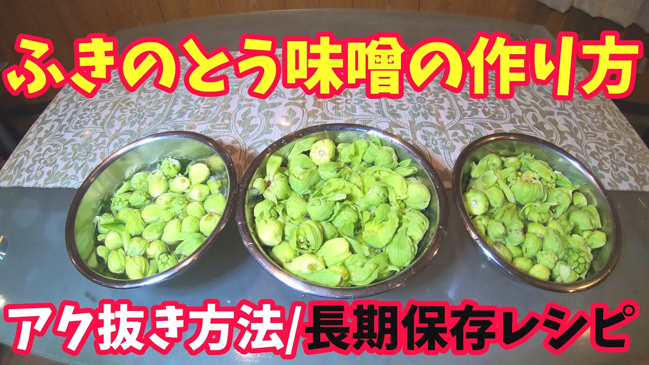 【フキノトウ三昧】ふき味噌(ふきのとう味噌)の作り方-ふきのとう天ぷらと蕗の薹キムチの山菜レシピ
