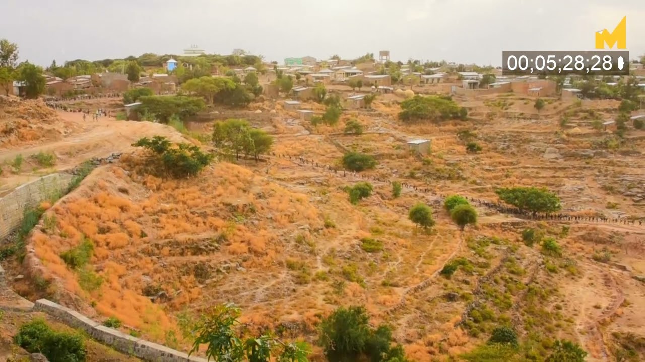 tdf@tigray defence force feb 12/2013
