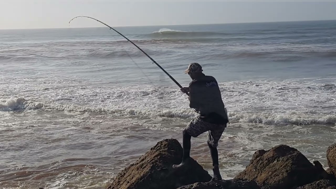 KZN Fishing - Salmon | Cob - Blue Lagoon