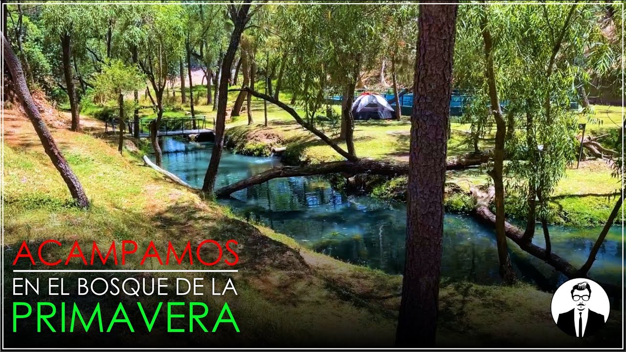 ACAMPAMOS en este lugar HERMOSO | Bosque de la Primavera