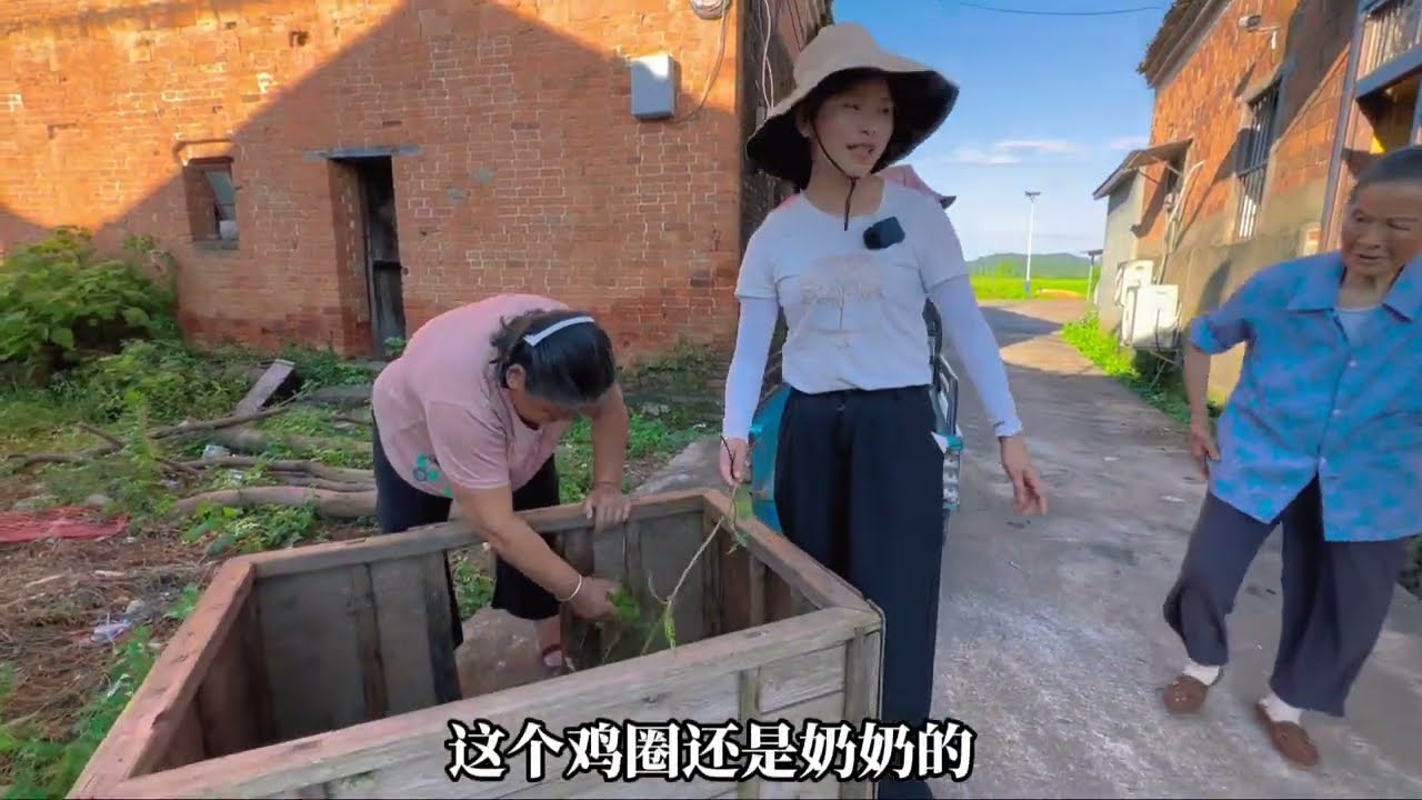 小鸡死因不明，终于真相大白，原来它才是罪魁祸首