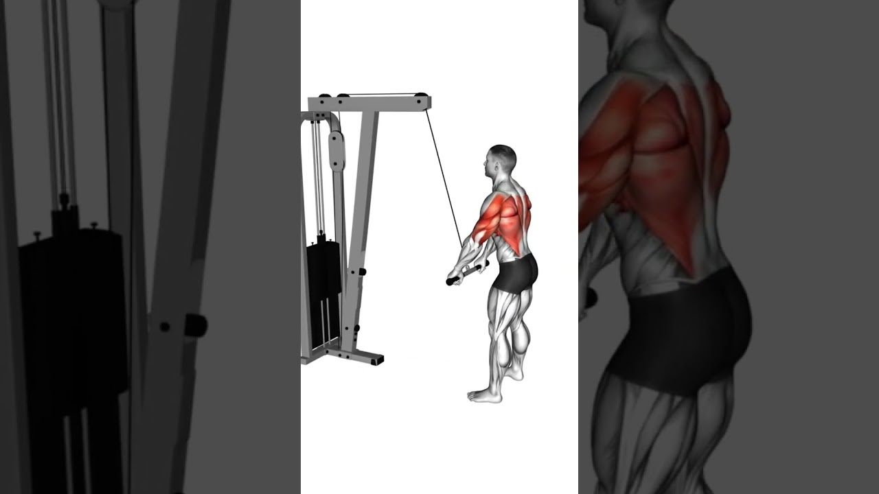 2er Split Trainingsplan - Tag 2 Pull Training #r&uuml;ckentraining #trainingsplan  #trainingstipps