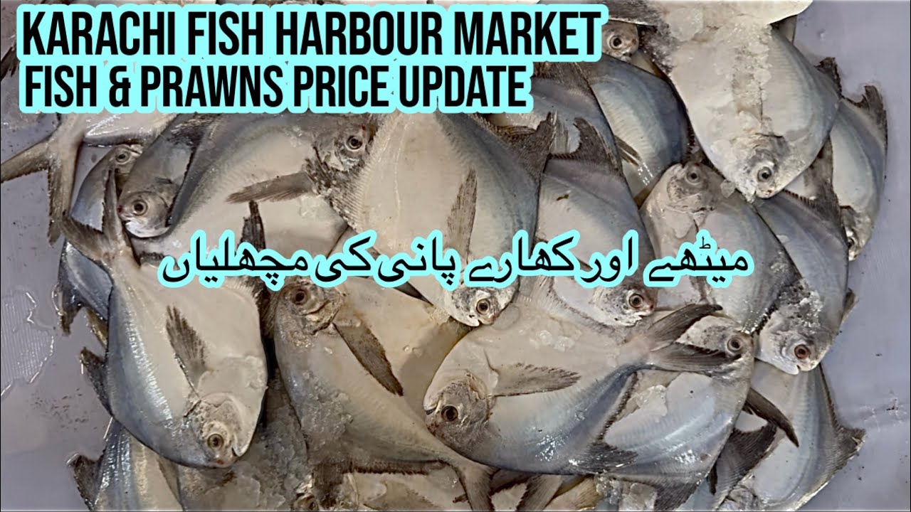 FISH & PRAWNS PRICE UPDATE KARACHI FISH HARBOUR MARKET January 26, 2026