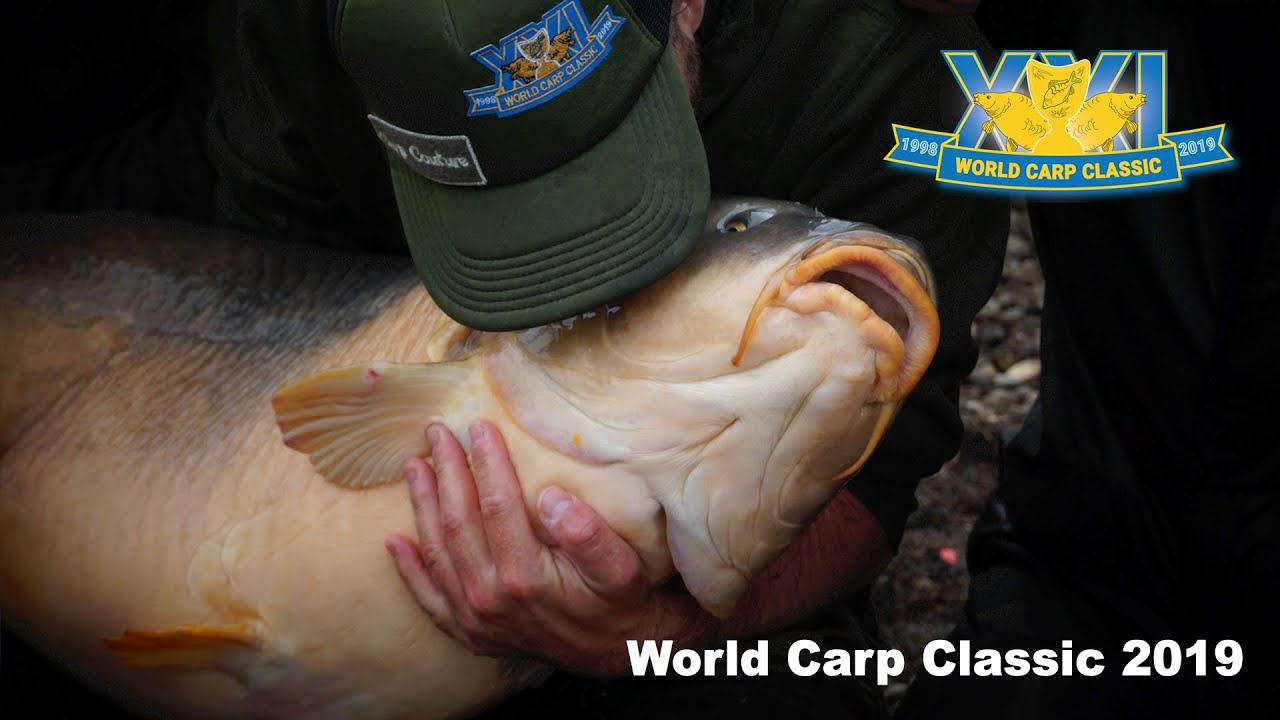 Carp Fishing - The World Carp Classic 2019 (Full Video)