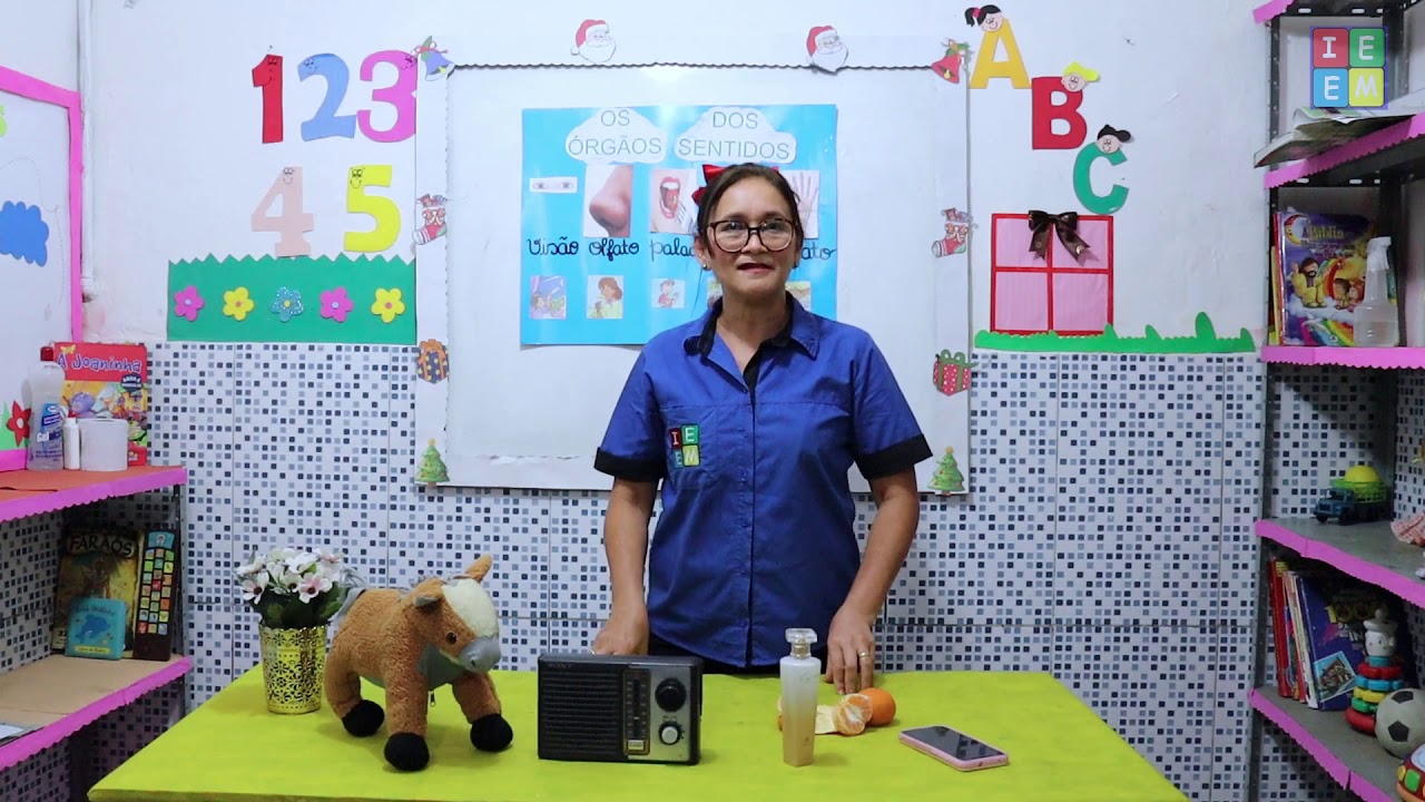 2º ANO CIÊNCIAS OS ÓRGÃOS DOS SENTIDOS