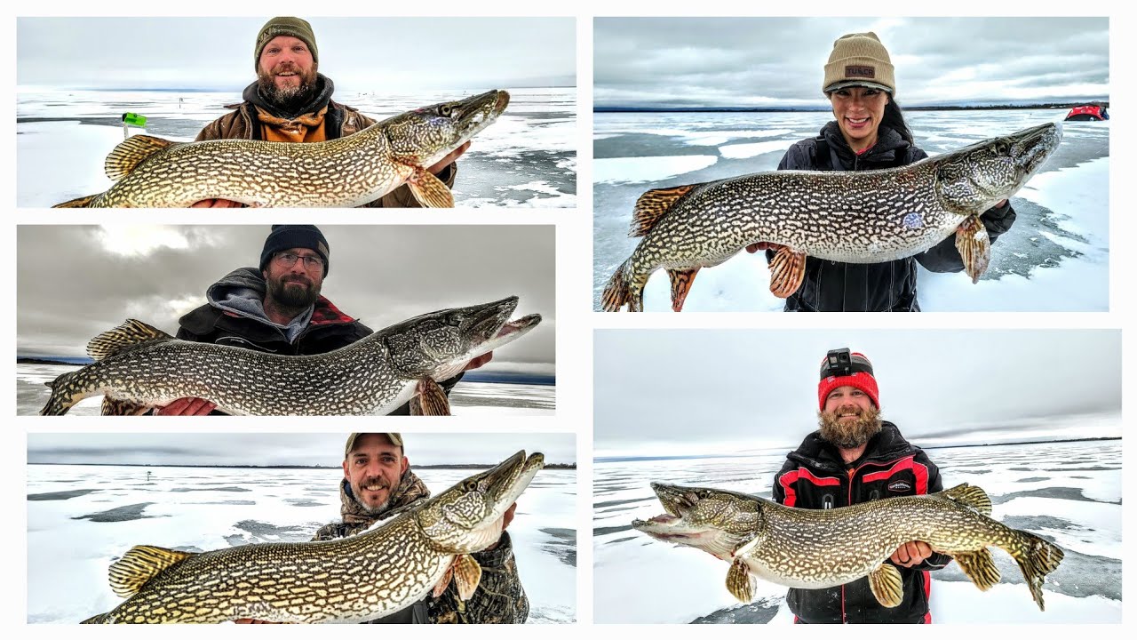 Chasing GIANT Lake Of the Woods Pike!!