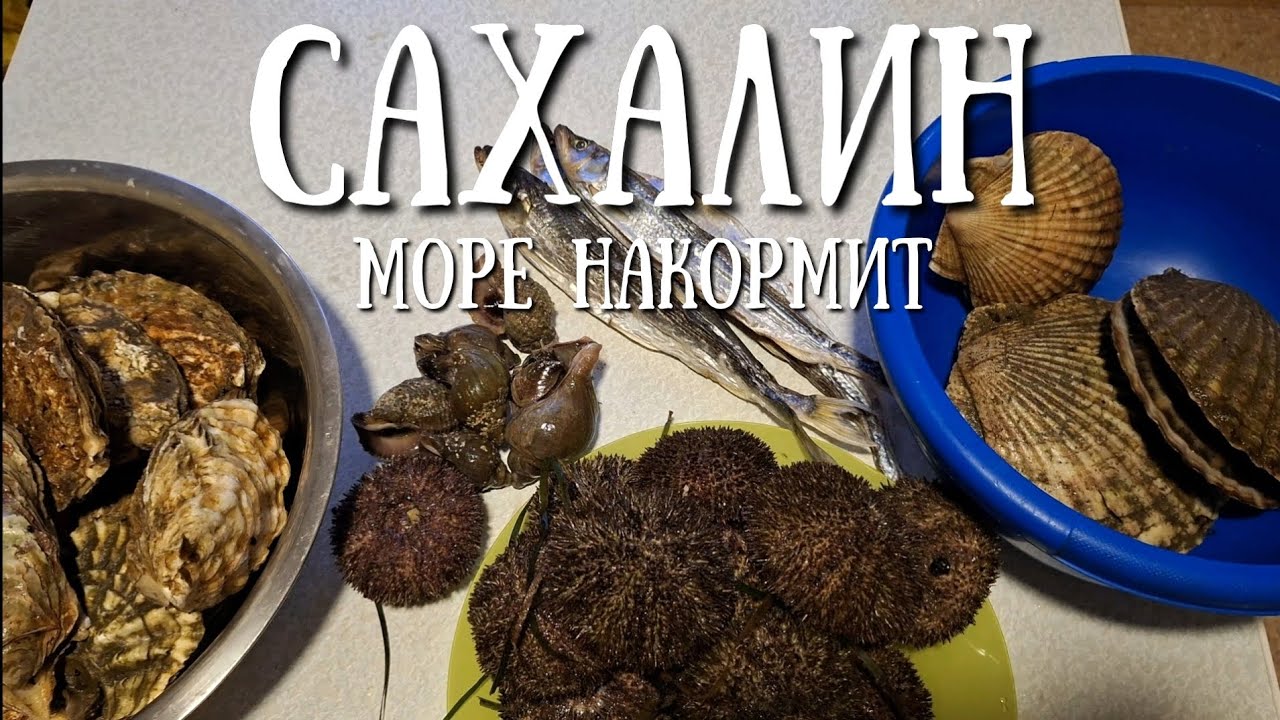 Сахалин - море солнце и еда #сахалин #рыбалка #fishing #море #природа #отдых