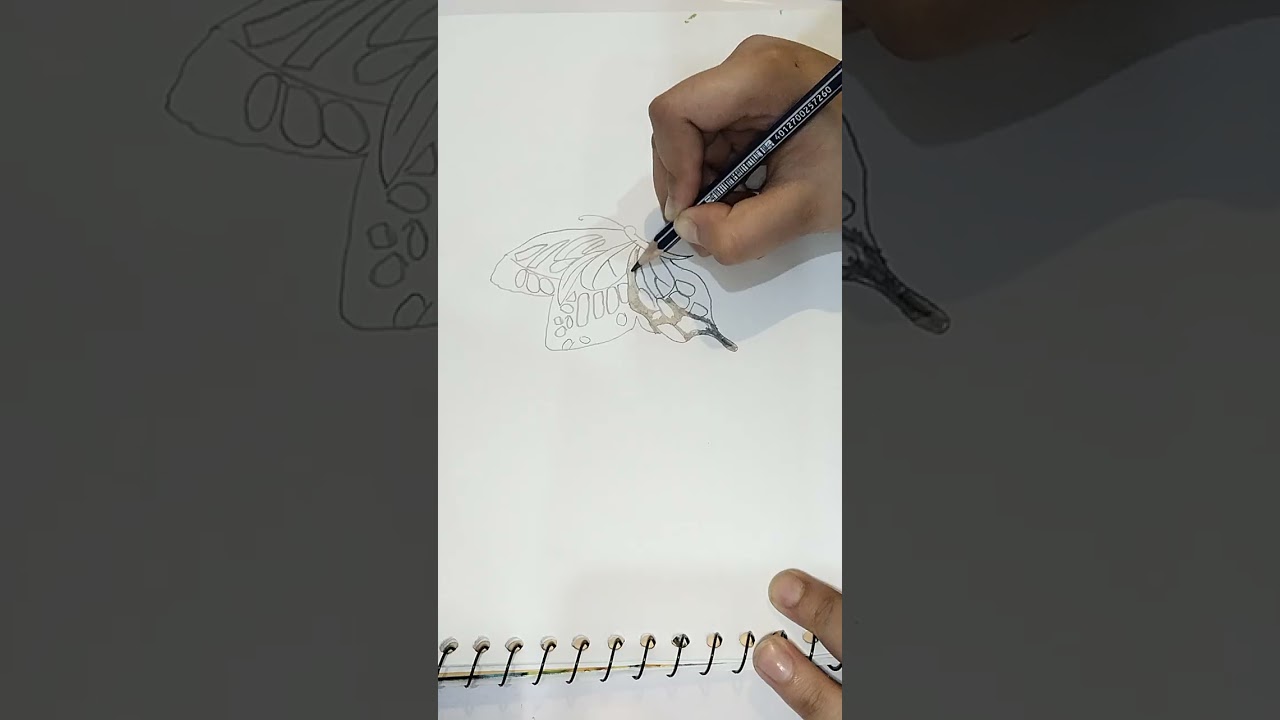 Butterfly banane ka tarika 🦋🦋🦋🦋🦋