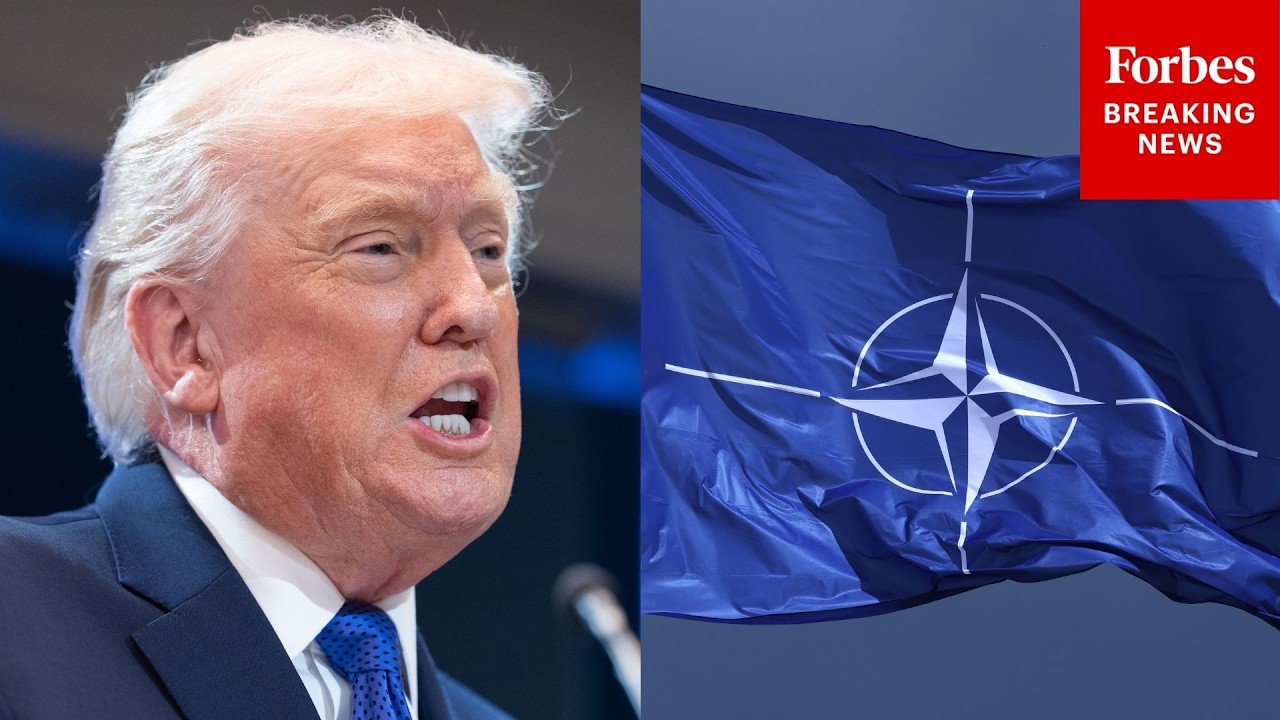 Trump Says He&rsquo;s Considering Pulling U.S. Out Of NATO&mdash;Calls It A &lsquo;Paper Tiger&rsquo;
