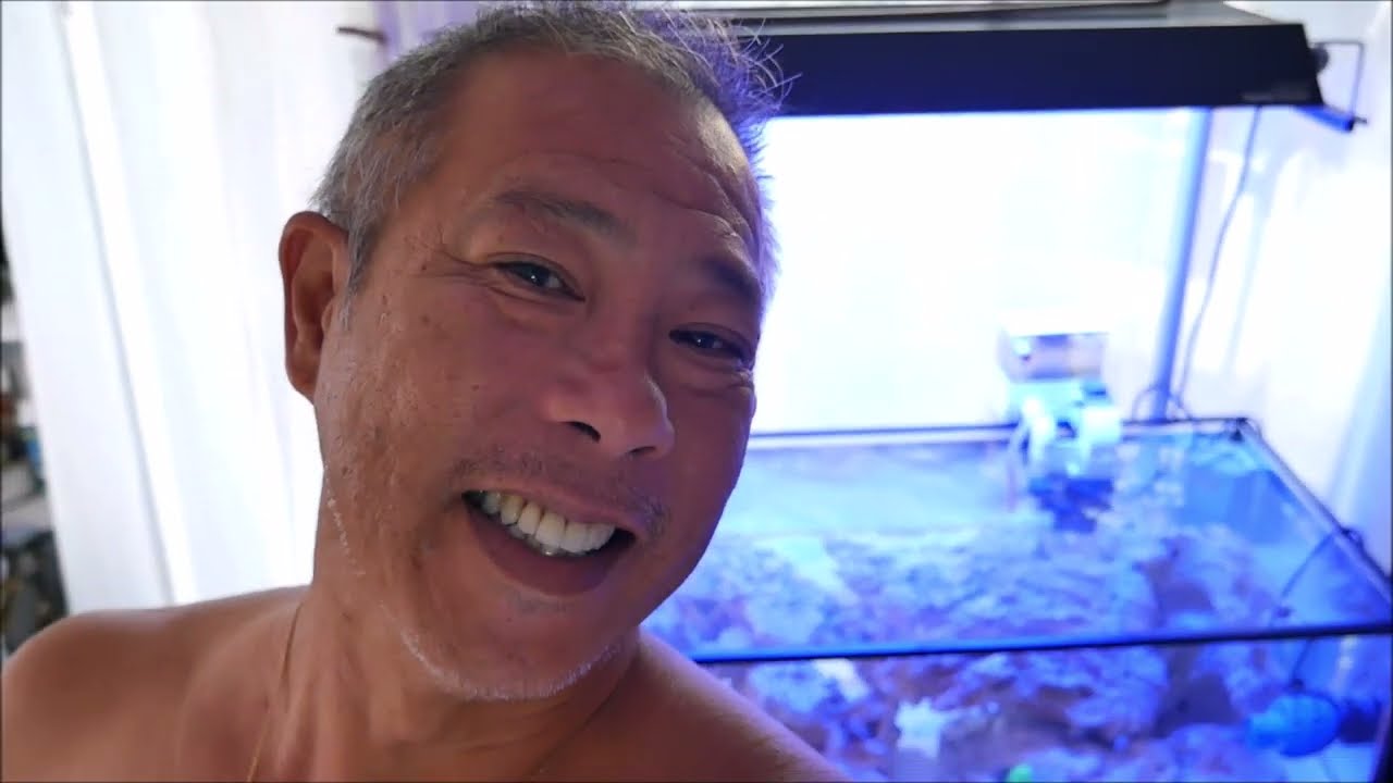 Mon Premier Aquarium Eau De Mer