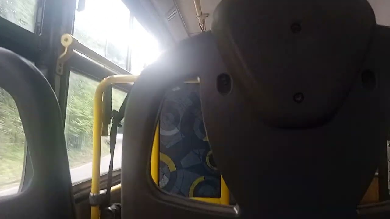 Paraty ônibus 201