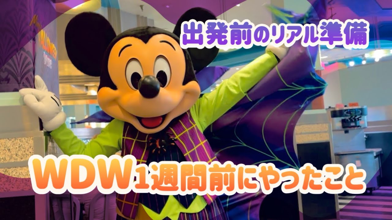 【WDW】出発前のリアル準備｜1週間前にやったこと｜フロリダディズニー準備ガイド🧳🏰