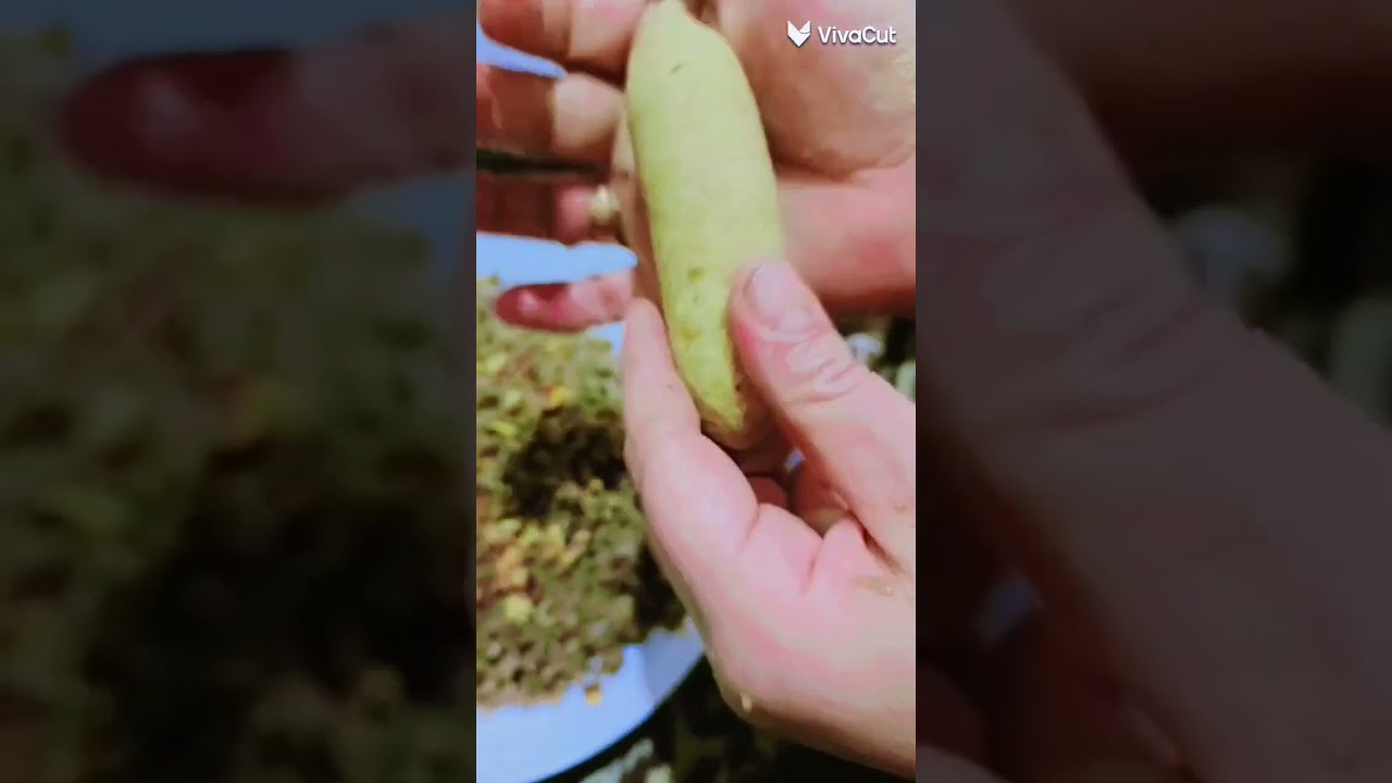 طريقتي بتحضير كبة سماقية وكبة مقلية طريقة حلبية 😋❤️‍🔥