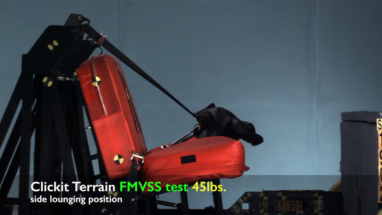 Pet Safety in Cars Research: Clickit Terrain Dog Safety Harness Crash Test - Side Position