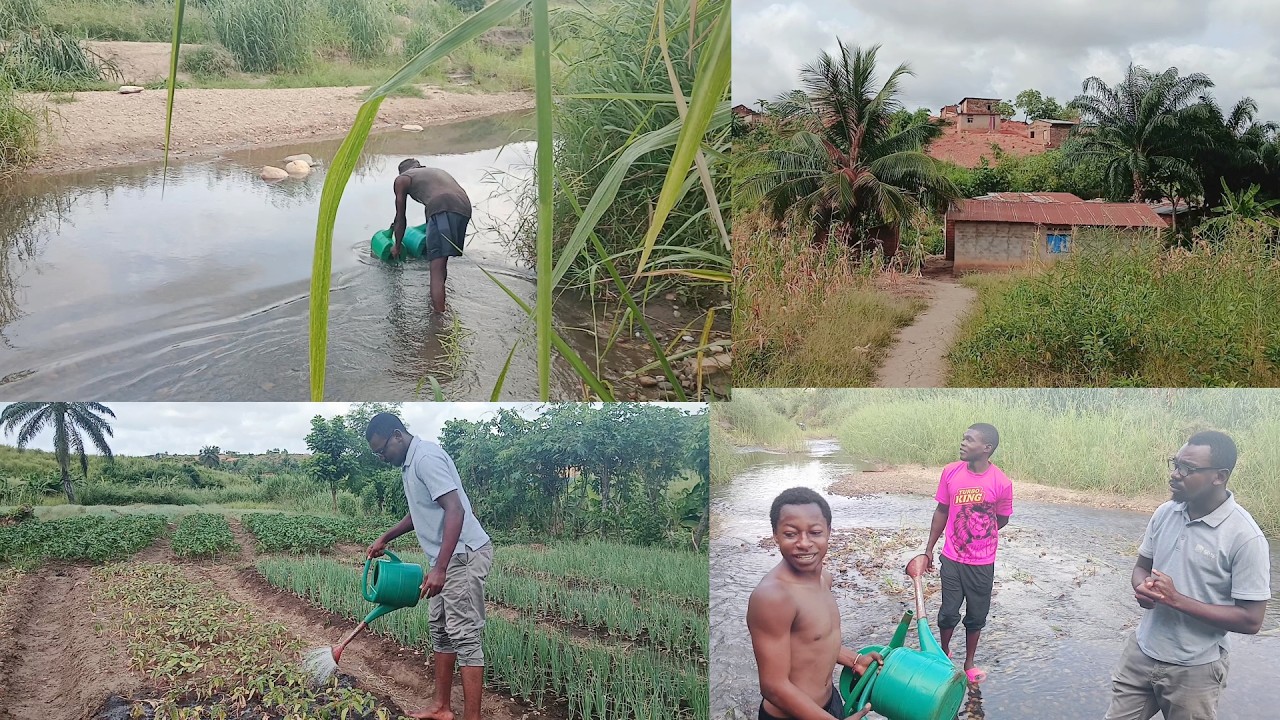 FARA FARA A LA DECOUVERTE DE L'AVENUE TSUMBU A BOMA