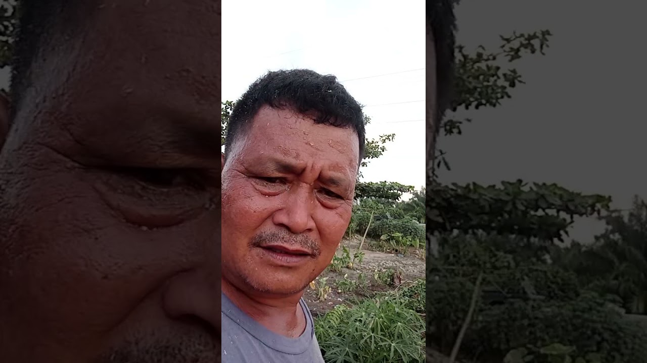 Kembali lagi kita buat rumah karena udah lama terbengkalai. Karena dana.