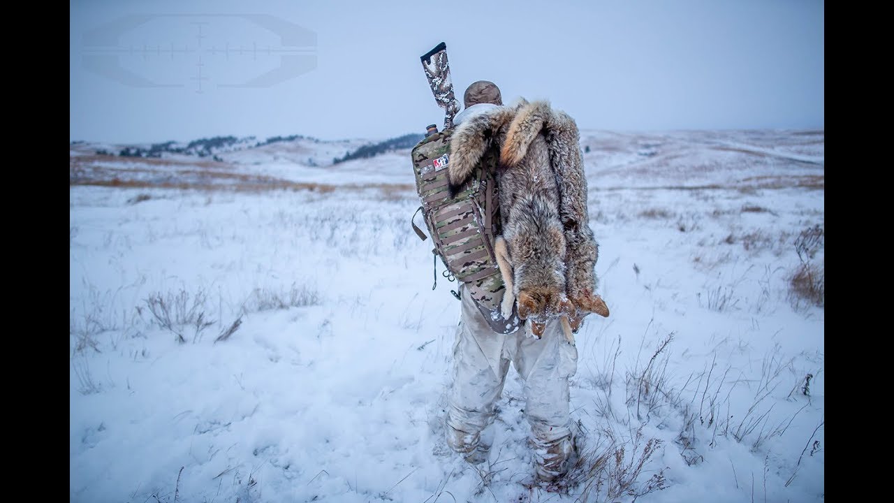Охота на хищников: SUPPRESSED&reg; 