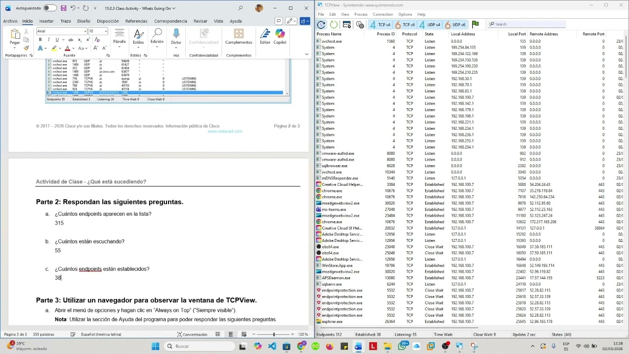 practica tcpview