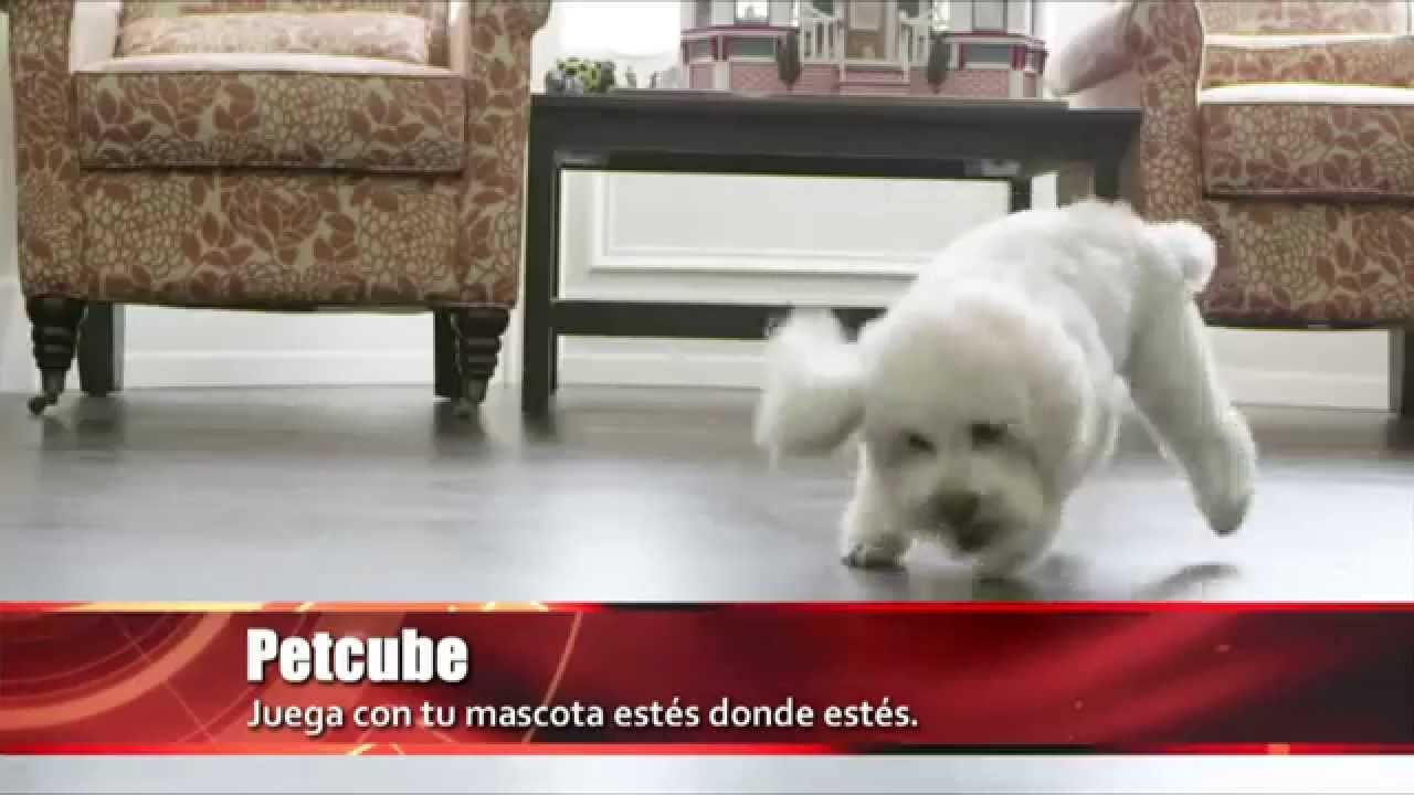 Lo mas asombroso de la tecnología - 27 junio 2105