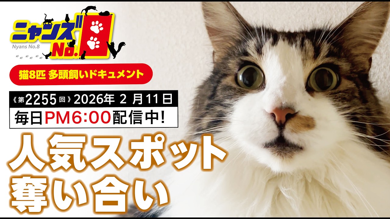 《第2255回》人気スポット奪い合い
