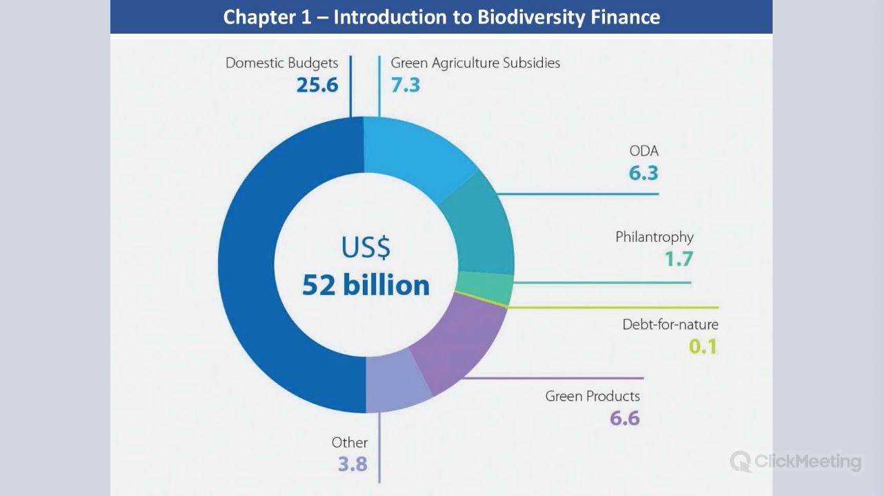 Webinar: Introduction to Biodiversity Finance