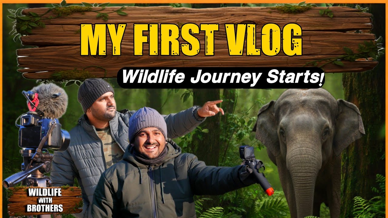 Wildlife With Brothers | My First Vlog Elephant | Real Wildlife Sighting | Indian Jungle Safari