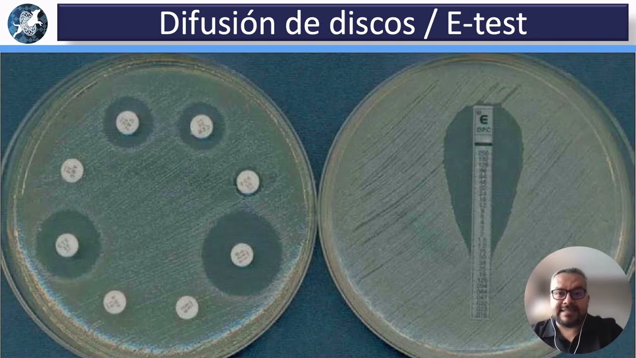 Pruebas diagnósticas enfocadas en enfermedades infecciosas en caninos