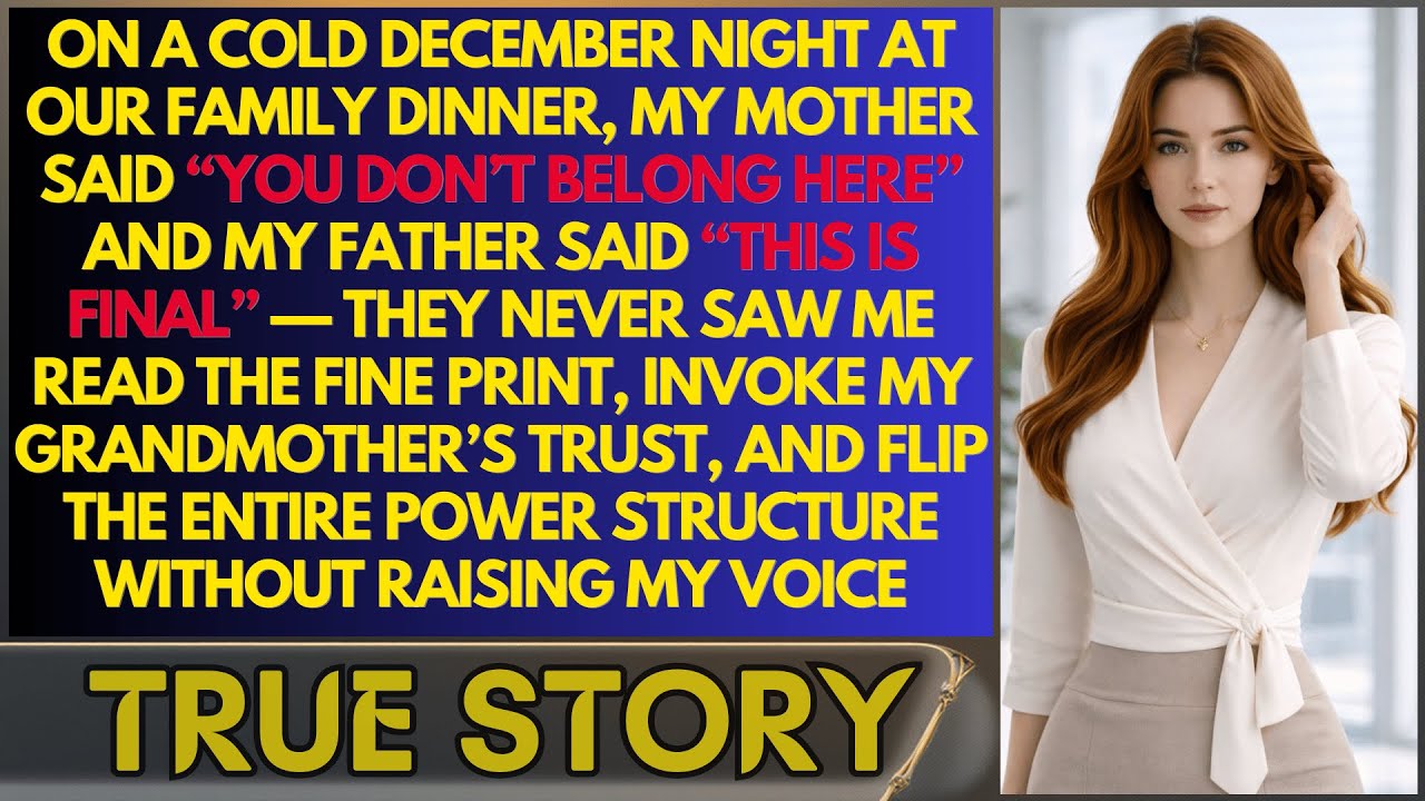 On Christmas Eve, My Father Said “You Are Not Family” — He Forgot I Controlled The Trust Quietly Now