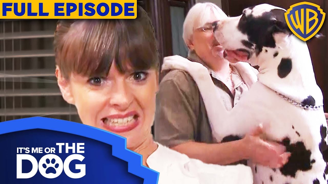 It's Me or The Dog USA | Season 1 Episode 6 | Warner Bros. TV