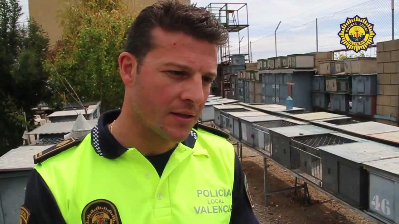 2012. ONCE DETENIDOS POR ROBO CON FUERZA EN UN LOCAL DE COLOMBICULTURA