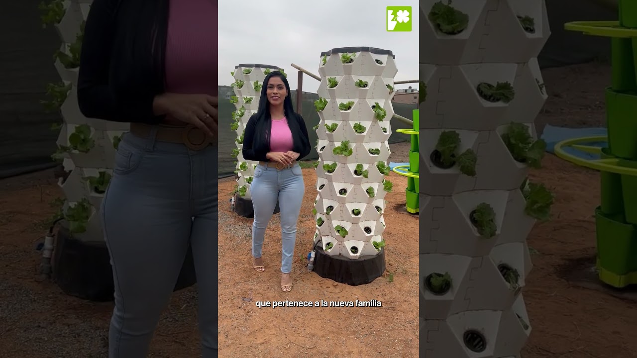 WeGrow sistema hidrop&oacute;nico vertical