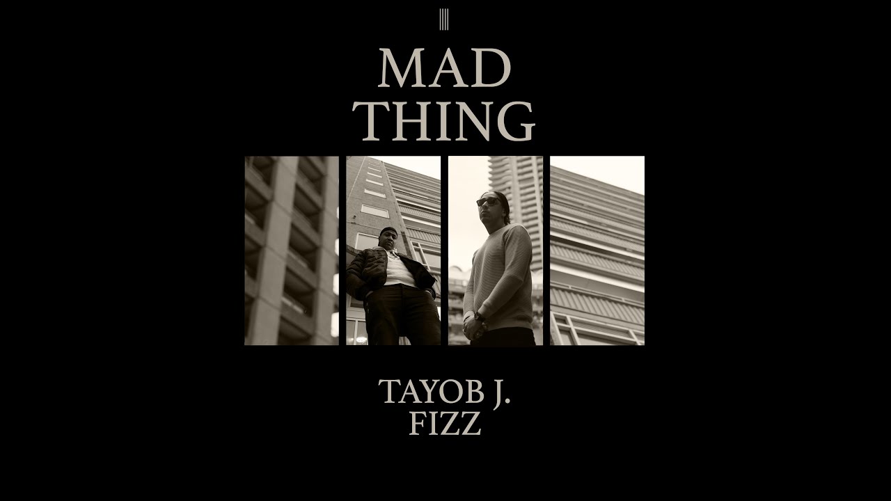 Tayob J. X Fizz Escobarra - Mad Thing