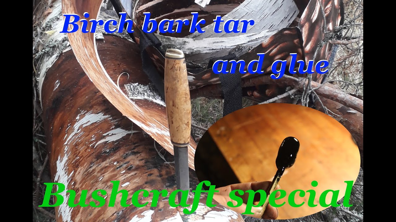 Birch bark tar and glue - Buschcraft with modern method