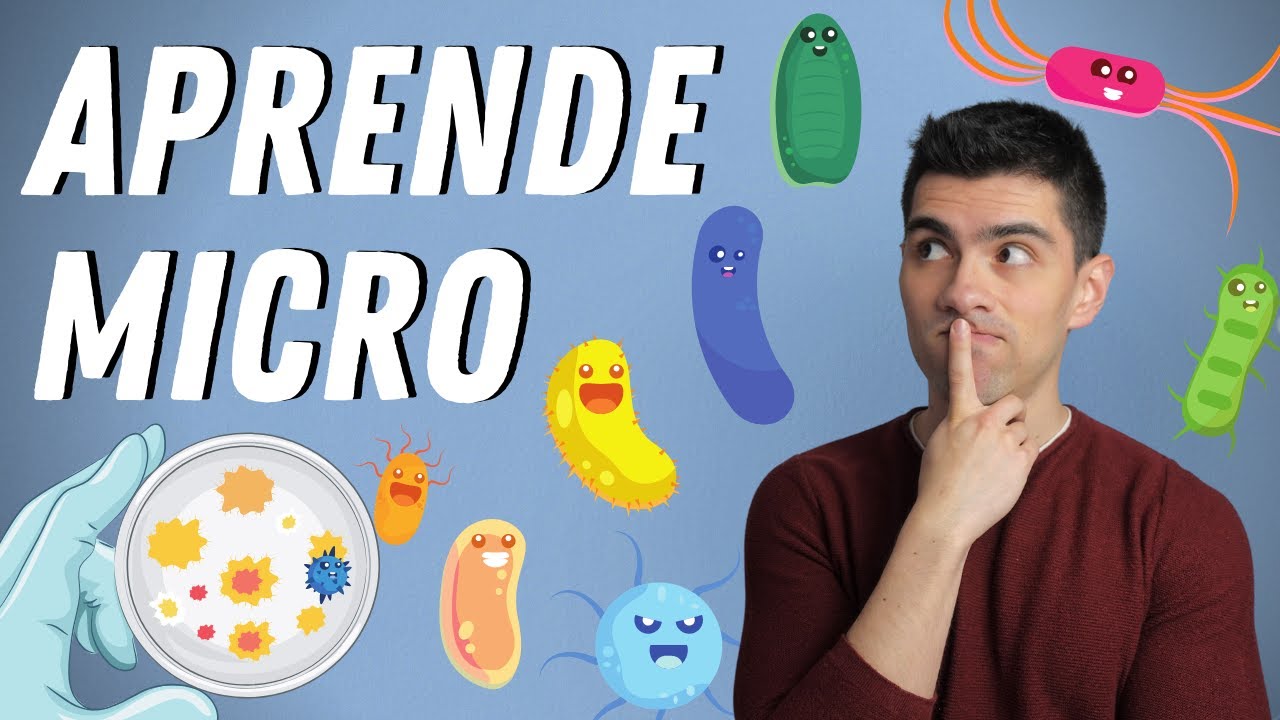 NUEVO CRASH COURSE: Aprender Microbiología Sin Morir en el Intento