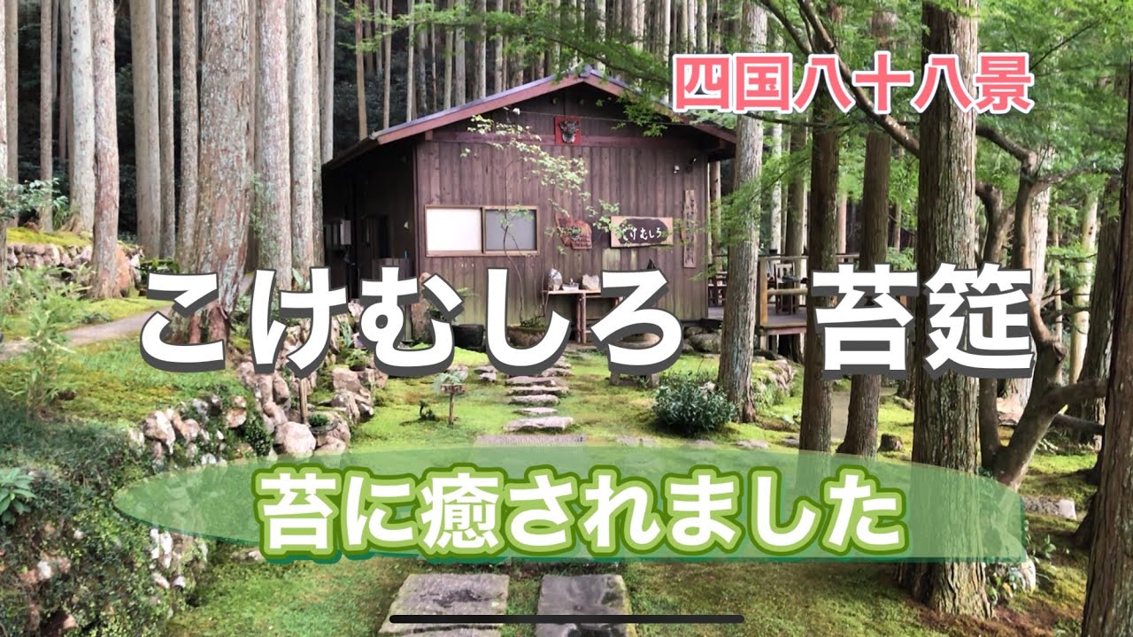 こけむしろ　苔筵　苔に癒されました　愛媛県　四国八十八景　Japanese garden