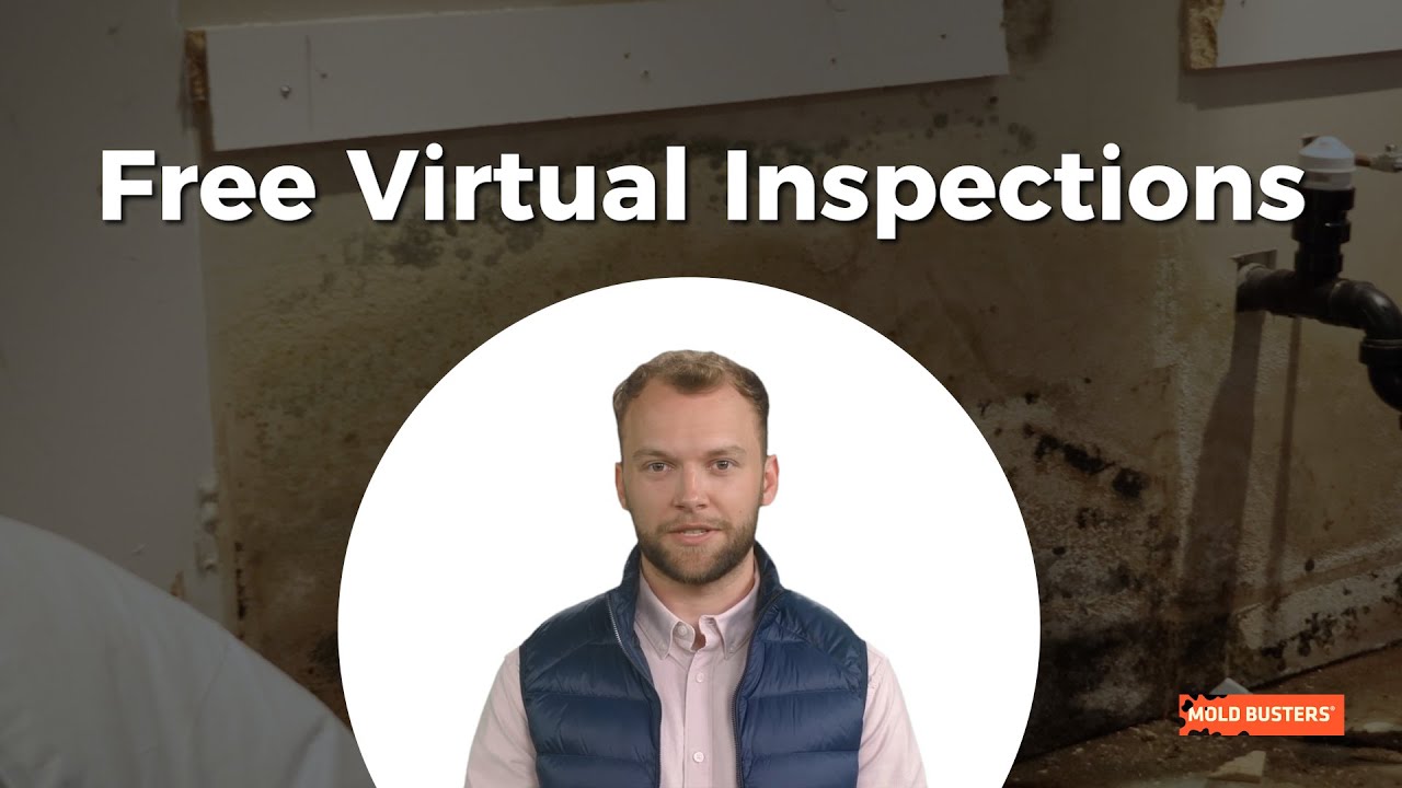 Free Virtual Mold Inspections   Mold Busters