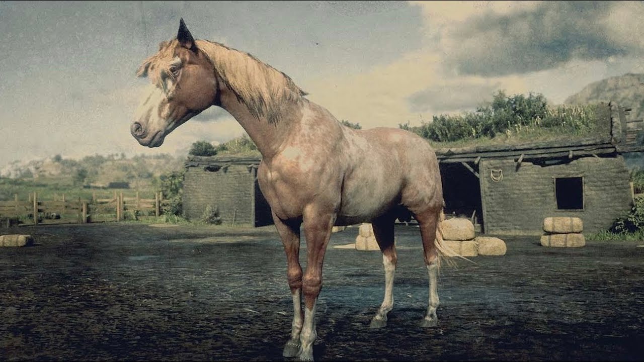 Red Dead Redemption 2: Every Horse - Red Roan Tennessee Walker