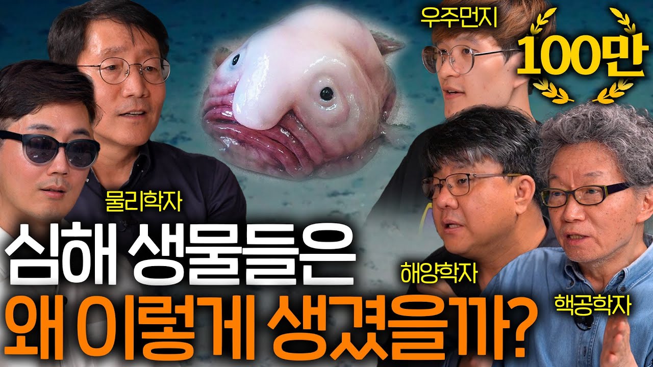 우주보다 신비롭다는 심해에는 도대체 어떤 생명체들이 살고 있을까? | 과학을 보다 EP.10