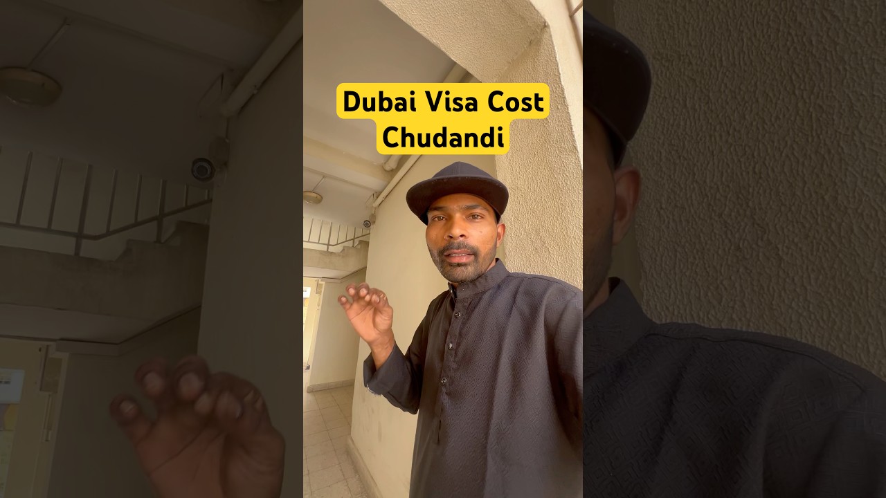 Single Entry Visa Price To Dubai #visitvisa #dubaivisaprice #dubaitouristvisa #dubaivlog #dailyvlog
