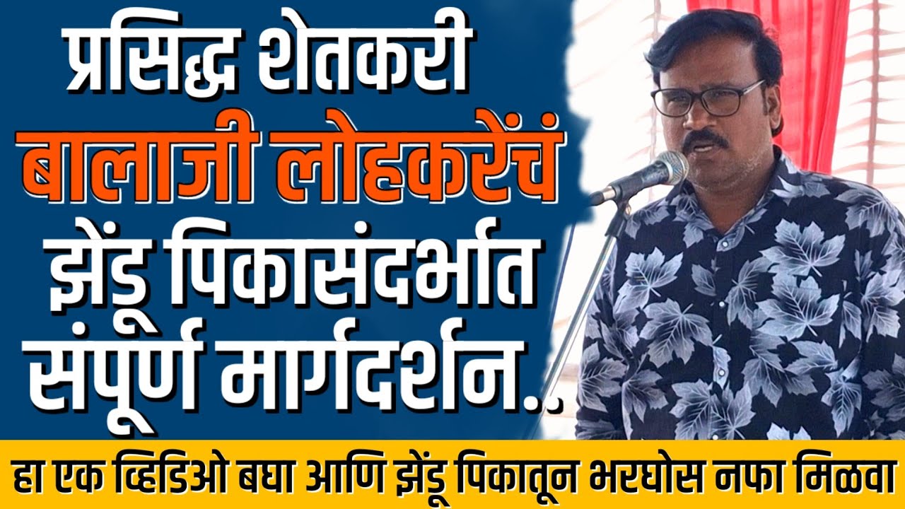 प्रसिद्ध शेतकरी बालाजी लोहकरे यांचं झेंडू पिकासंदर्भात संपूर्ण मार्गदर्शन | हा व्हिडिओ नक्की बघा..👍