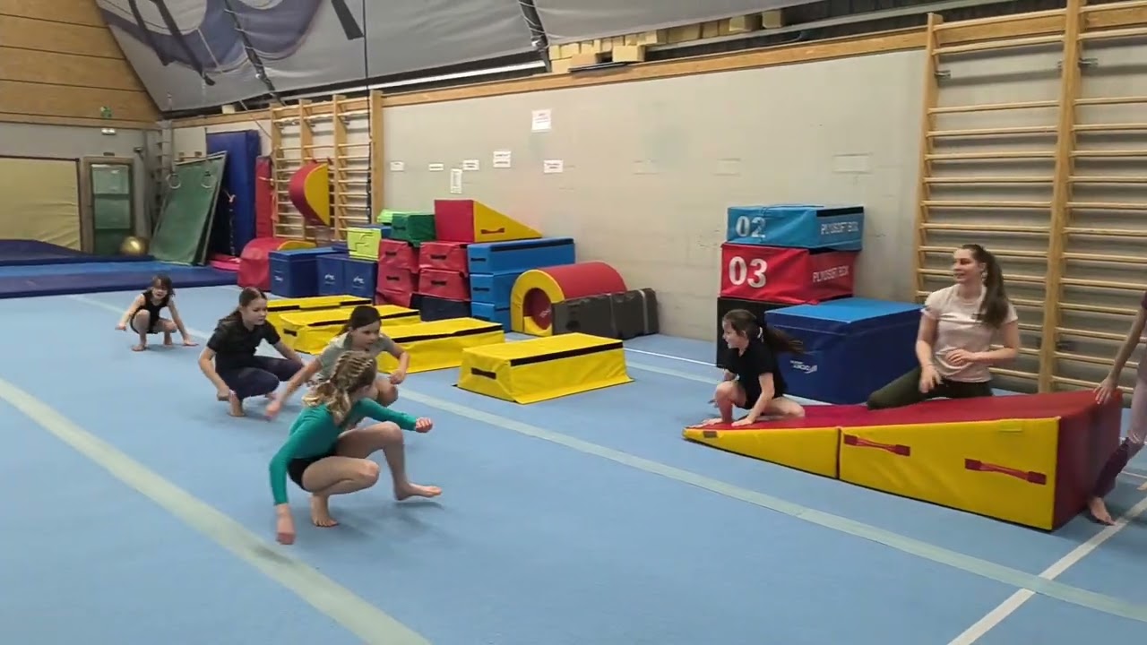 ZŠ Vyžlovka - gympra 2026