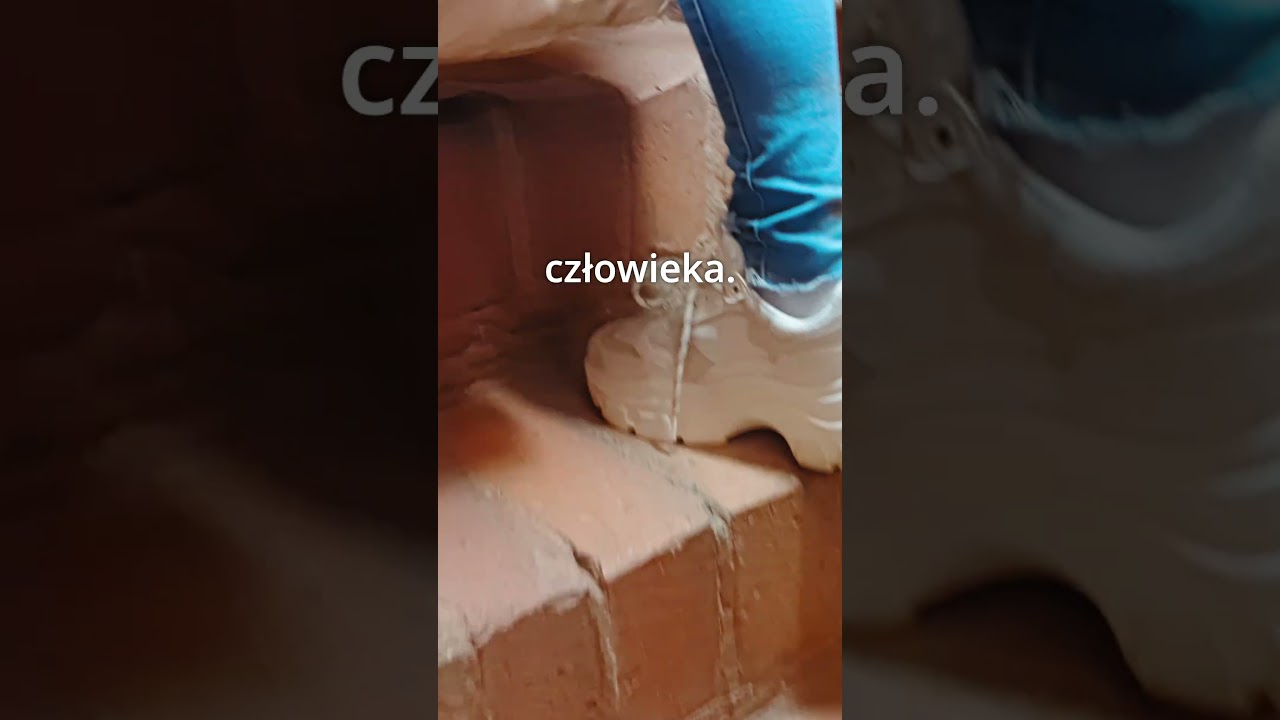 Tajemny korytarz na zamku w Człuchowie? 🏰 #shorts #zamek #czluchow